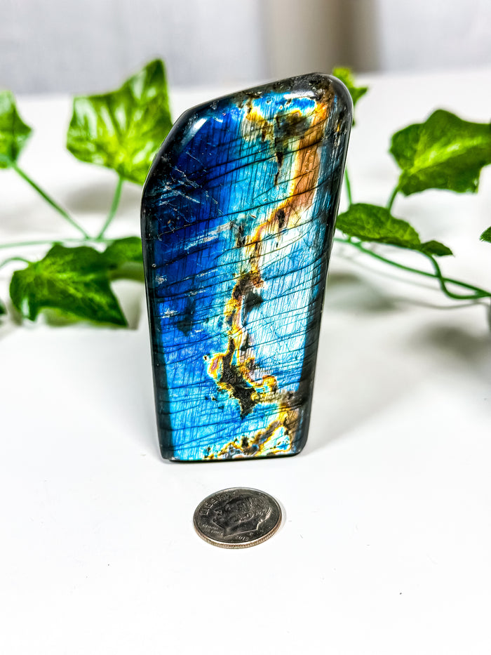 Labradorite Freeform (42B)