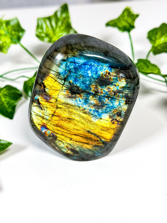 Labradorite Freeform (45A)
