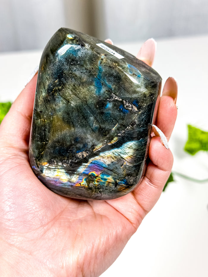 Labradorite Freeform (45A)