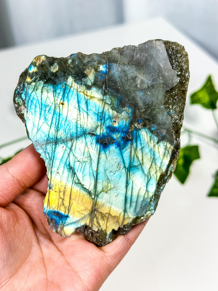 Labradorite Slab (18B)