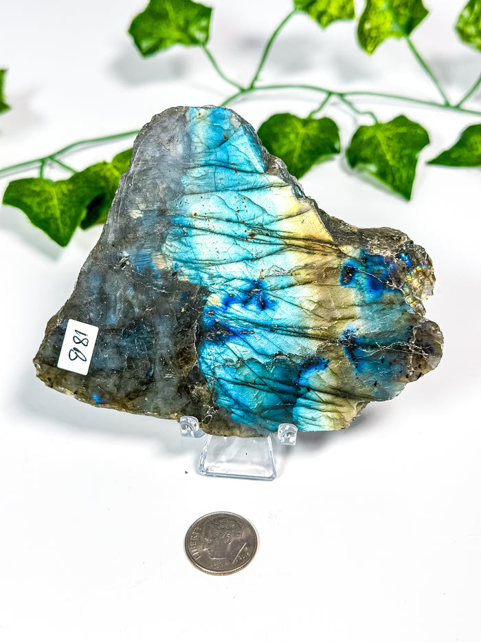 Labradorite Slab (18B)