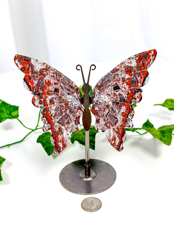 Mexican Crazy Lace Agate Butterfly on Stand (42A)