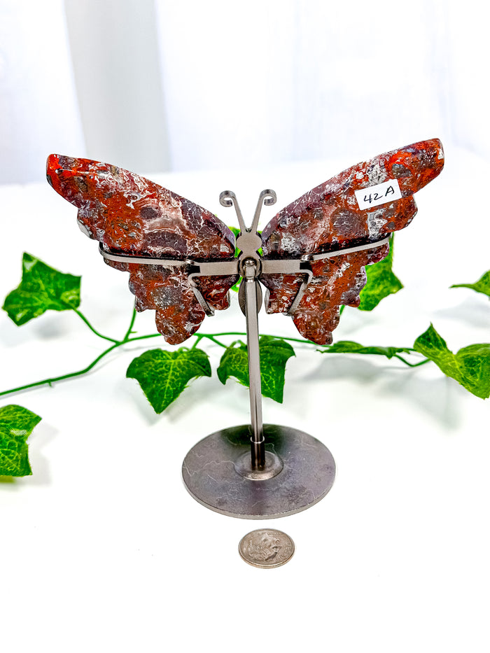 Mexican Crazy Lace Agate Butterfly on Stand (42A)