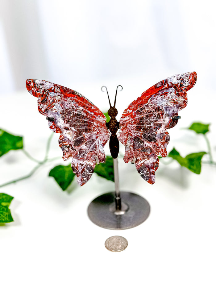 Mexican Crazy Lace Agate Butterfly on Stand (42B)