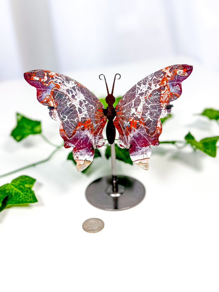 Mexican Crazy Lace Agate Butterfly on Stand (42C)