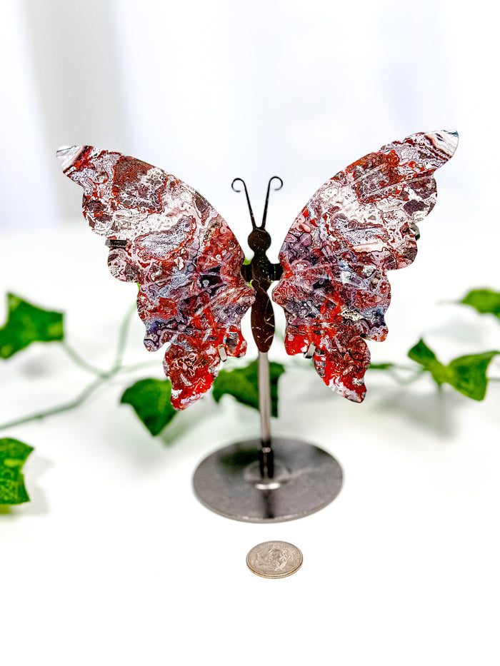 Mexican Crazy Lace Agate Butterfly on Stand (42D)