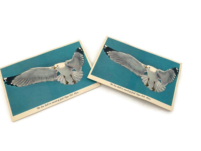 Midcentury Cape Cod Souvenir Squeaker Postcard at Duckwells