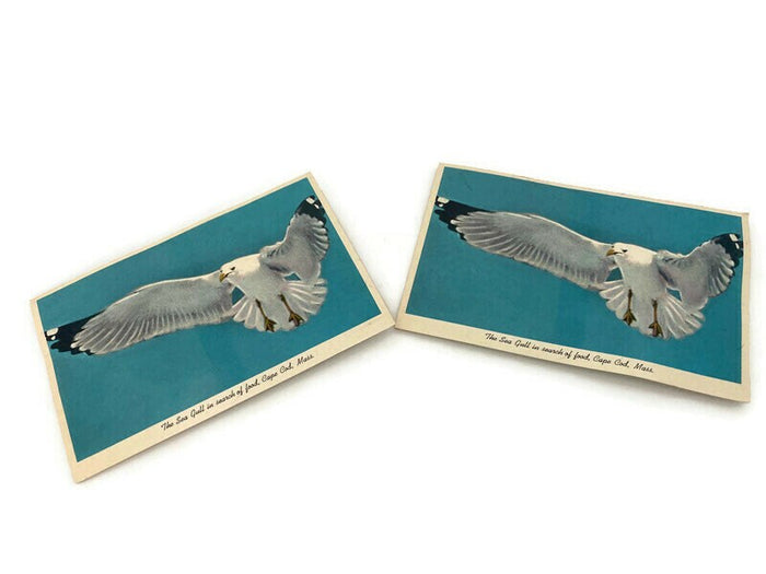 Midcentury Cape Cod Souvenir Squeaker Postcard at Duckwells
