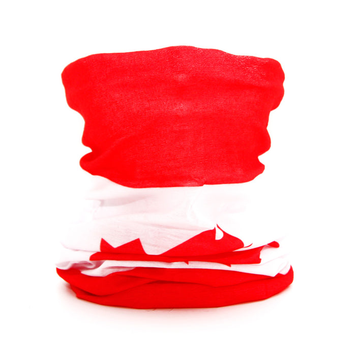 Neck Gaiter/Bandana/Face Cover - Windows101