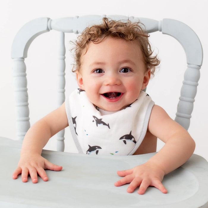 Orca Bib Set