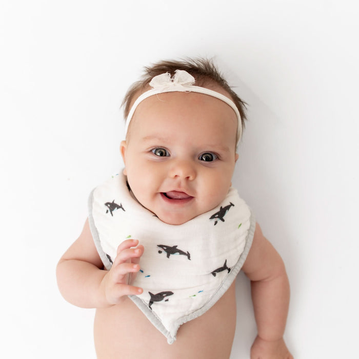 Orca Bib Set