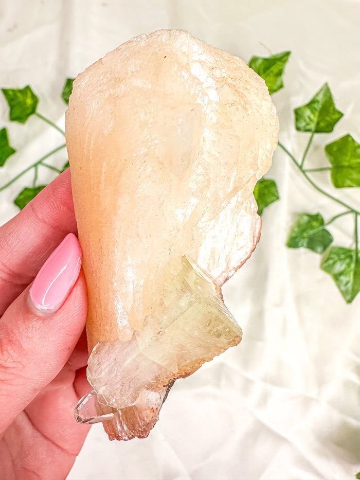 Peach Stilbite with Green Apophyllite Mineral Specimen #10