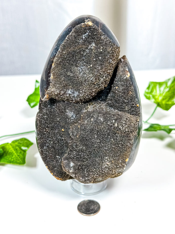Septarian Geode Egg (30A)