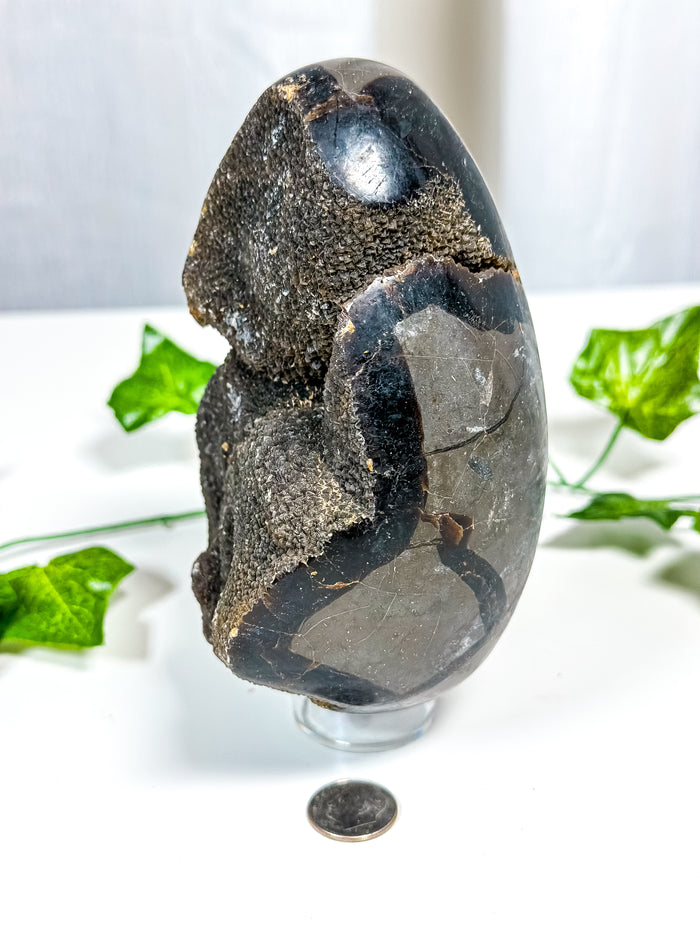 Septarian Geode Egg (30A)