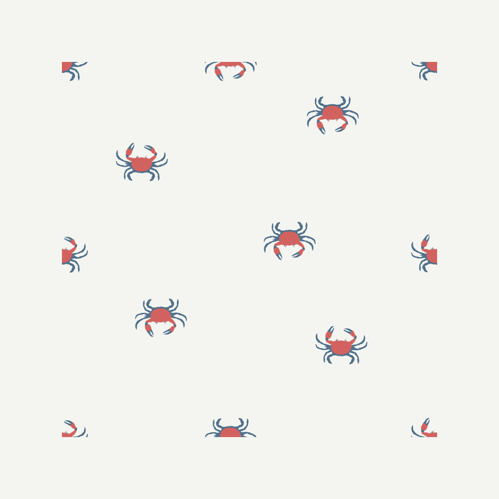 Baby shorts | crab finn + emma