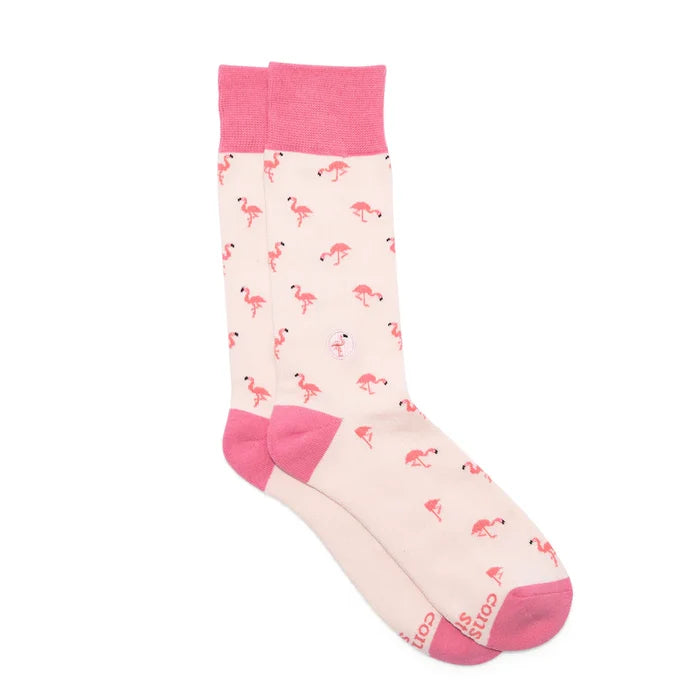 Protect Flamingos