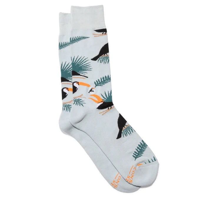 Protect Toucans I
