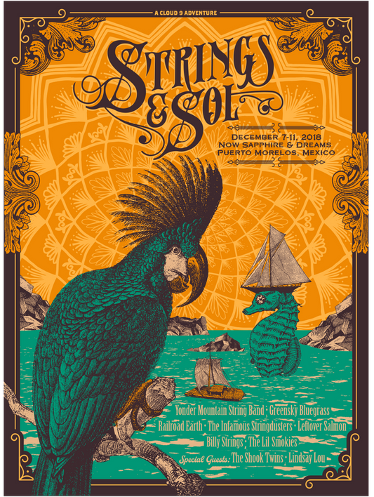 Strings & Sol 2018 Poster