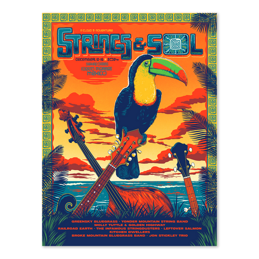 Strings & Sol 2024 Poster