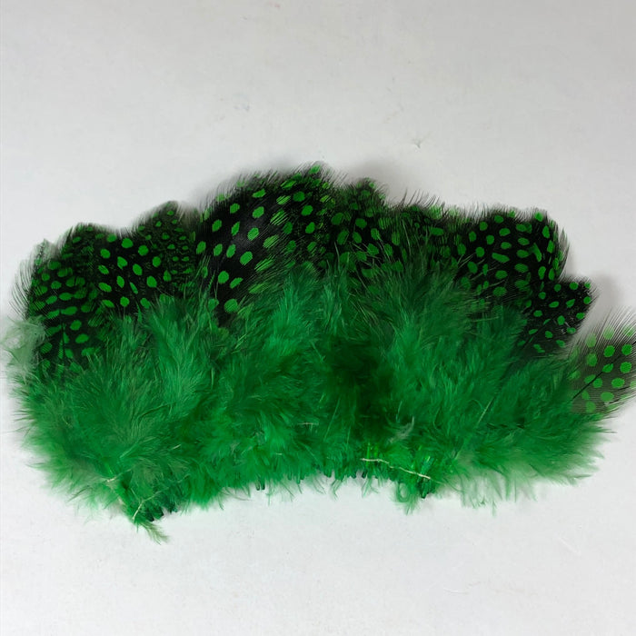 Strung Guinea Feathers