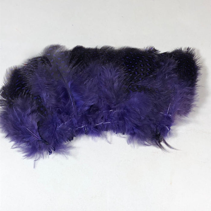 Strung Guinea Feathers