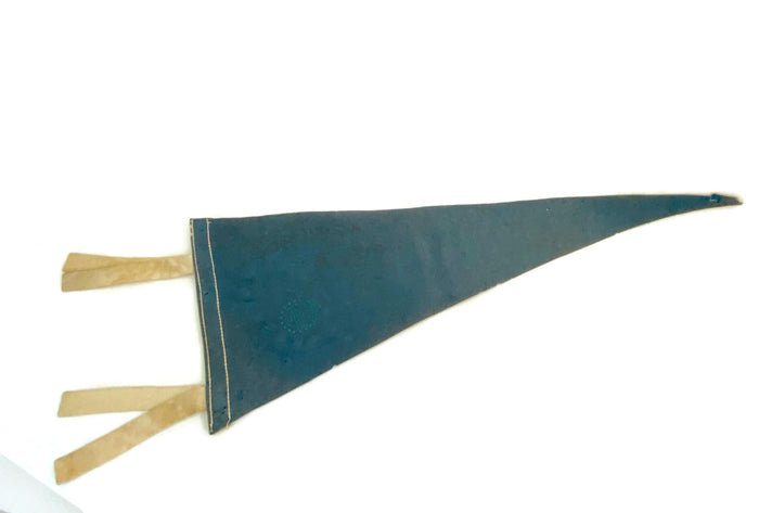 Vintage Hayden Planetarium at the Museum of Science Boston Pennant at Duckwells