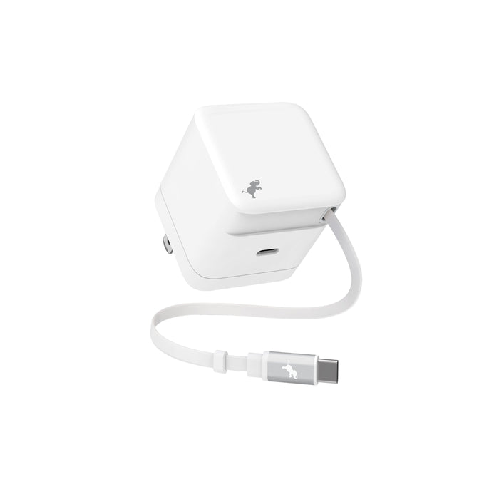 WALLY Stretch 65W Wall Charger