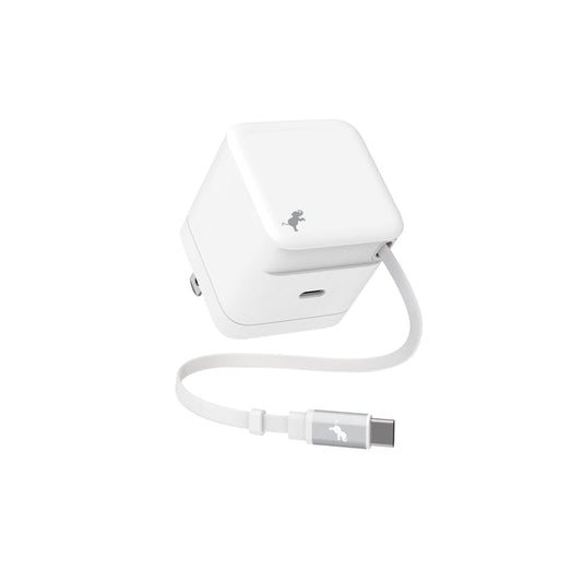 WALLY Stretch 65W Wall Charger