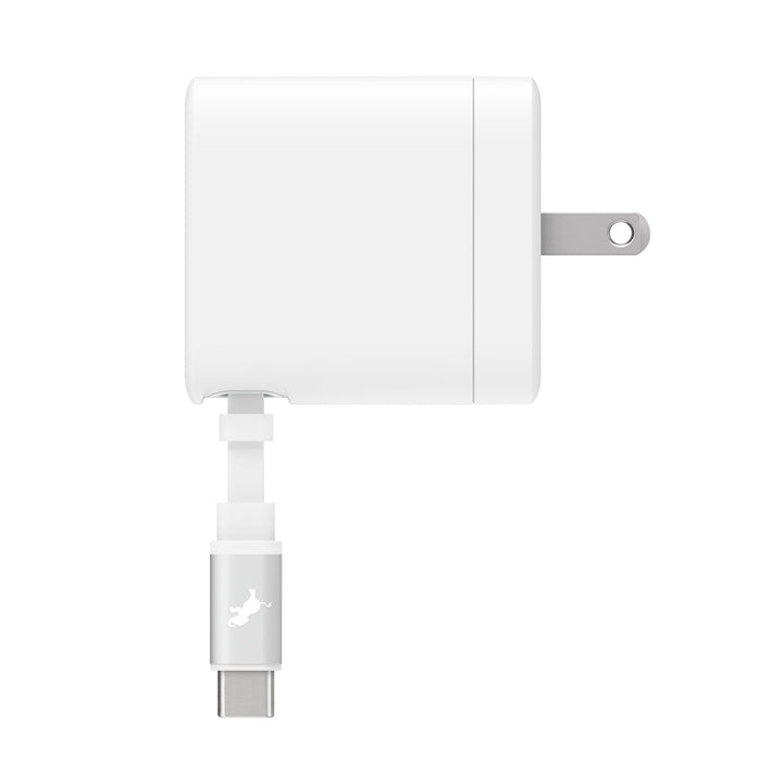 WALLY Stretch 65W Wall Charger