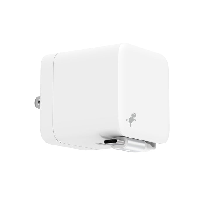 WALLY Stretch 65W Wall Charger