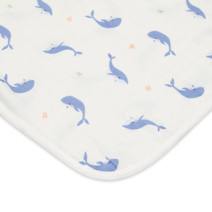 whale baby blanket