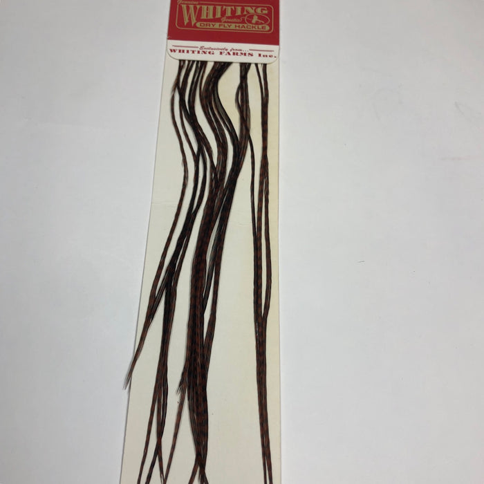 Grizzly dyed Brown