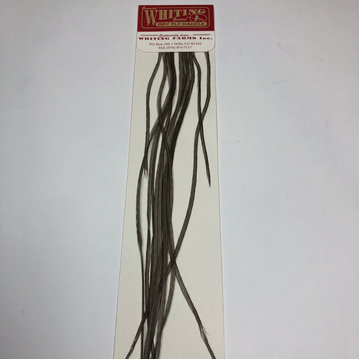 Whiting 100's  - Hook Assorted Size