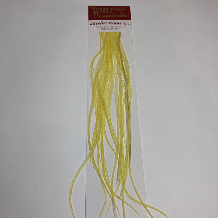 Whiting 100's  - Hook Assorted Size