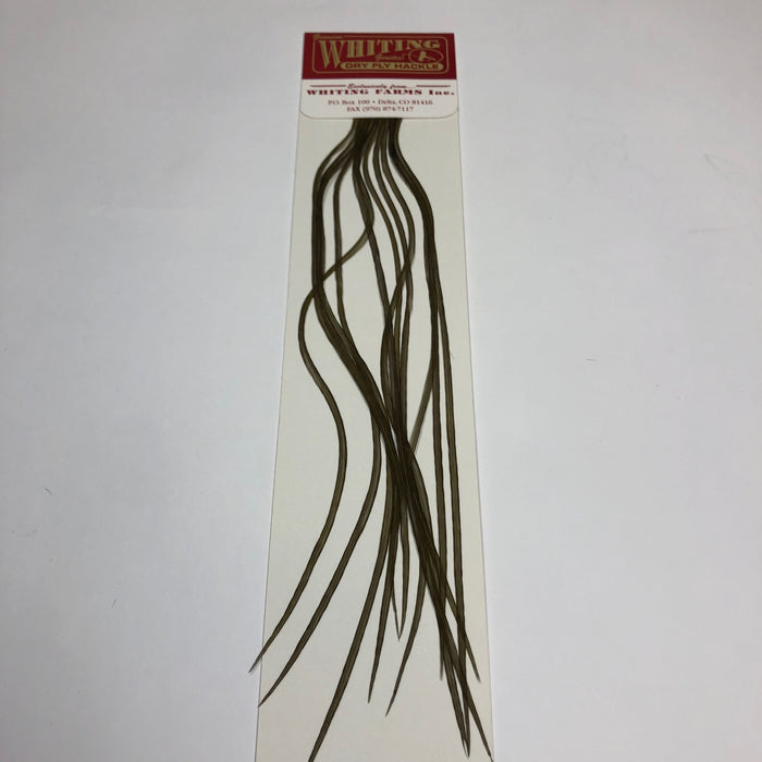Whiting 100's  - Hook Assorted Size