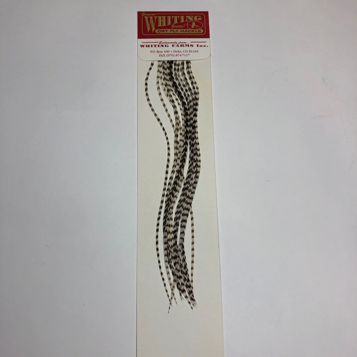 Whiting 100's  - Hook Assorted Size