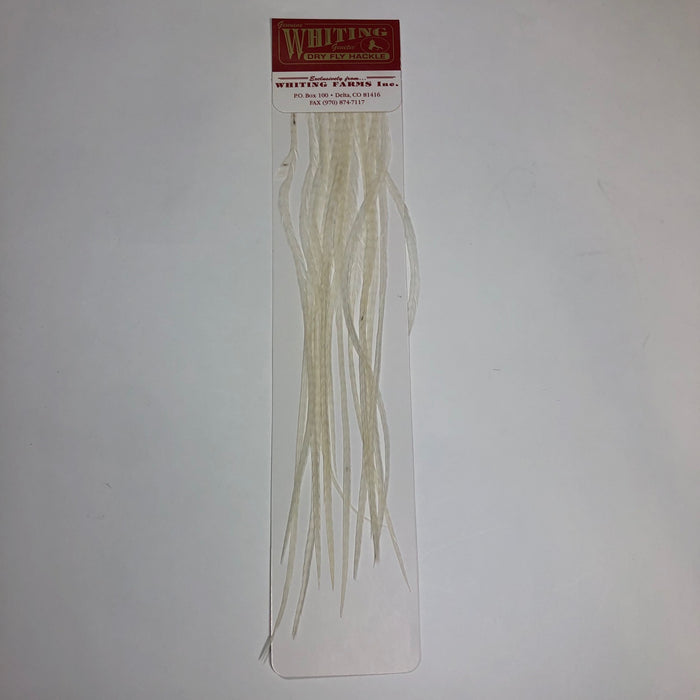 Whiting 100's  - Hook Assorted Size