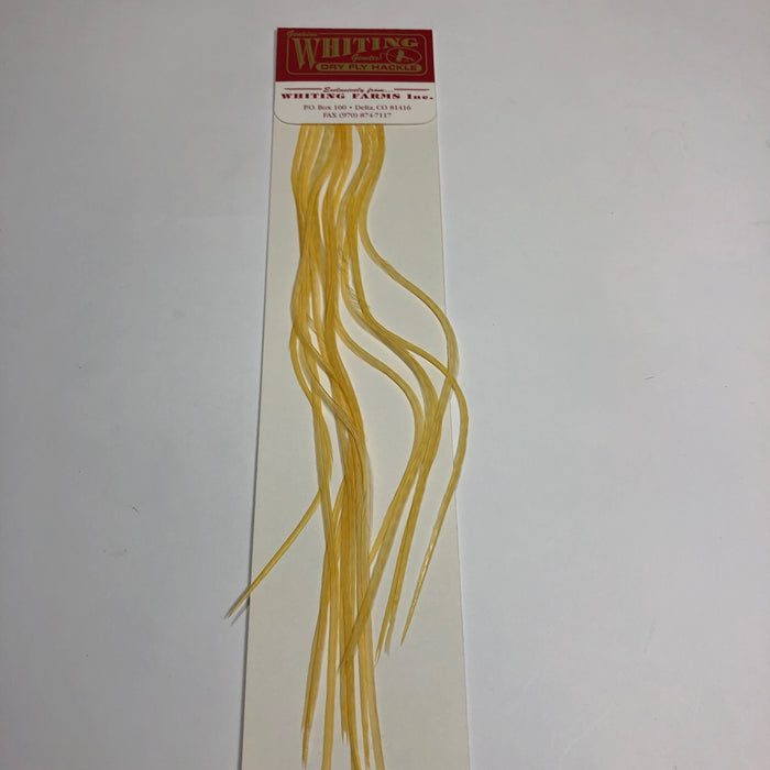 #18 / Golden Straw