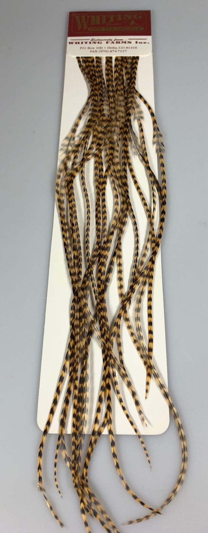 #14 / Grizzly Golden Brown