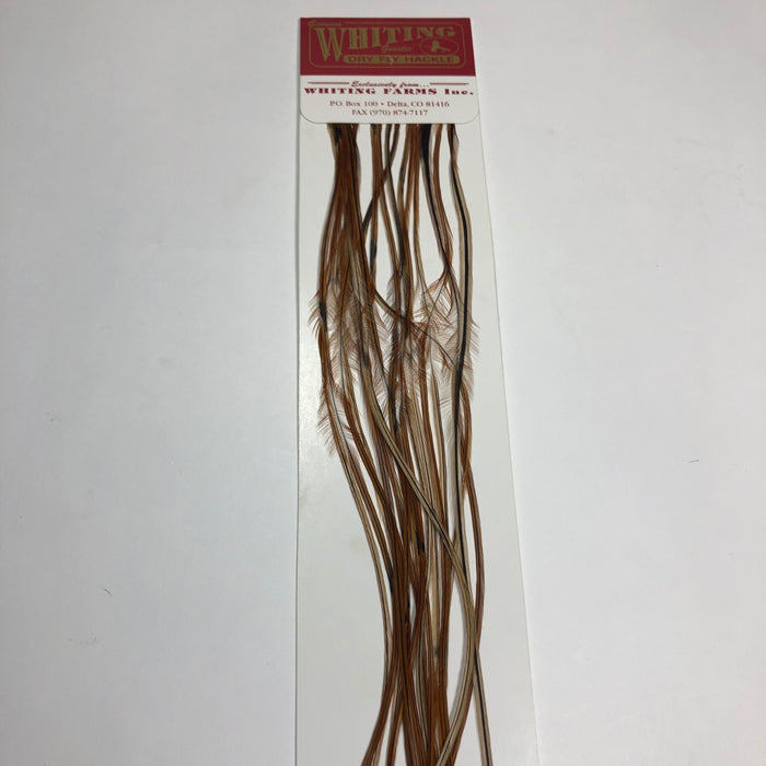 Whiting 100's Fly Pack