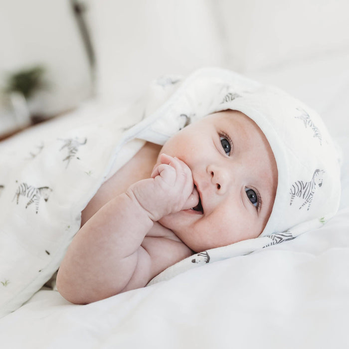 baby hooded towels