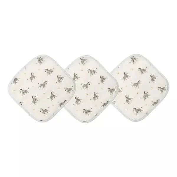 baby washcloth set