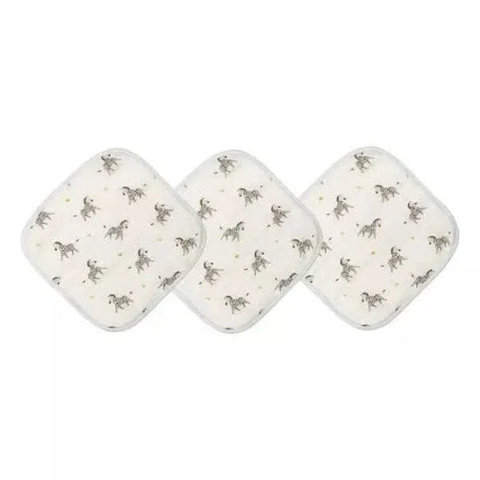 baby washcloth set